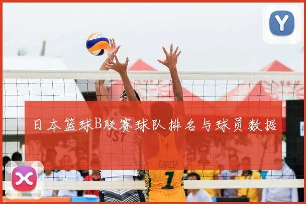 日本篮球B联赛球队排名与球员数据